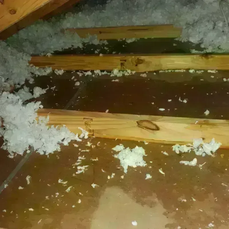 Attic Water Damage in Nash County, NC