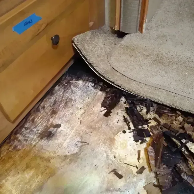 Wood Floor Water Damage in Nash County, NC